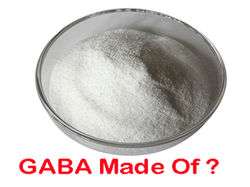 What Is Gamma Aminobutyric Acid Powder Made Of?
